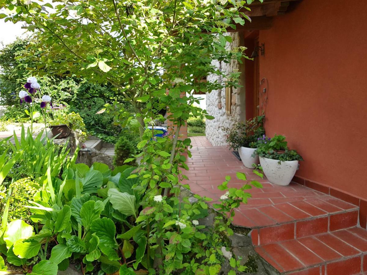 Mediterran Apartman Πετς Εξωτερικό φωτογραφία