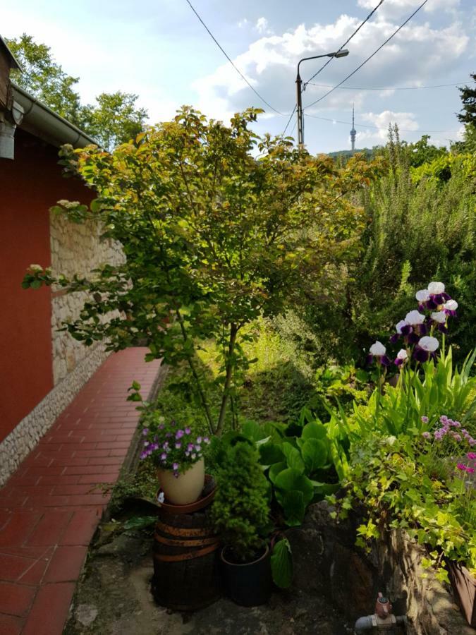 Mediterran Apartman Πετς Εξωτερικό φωτογραφία